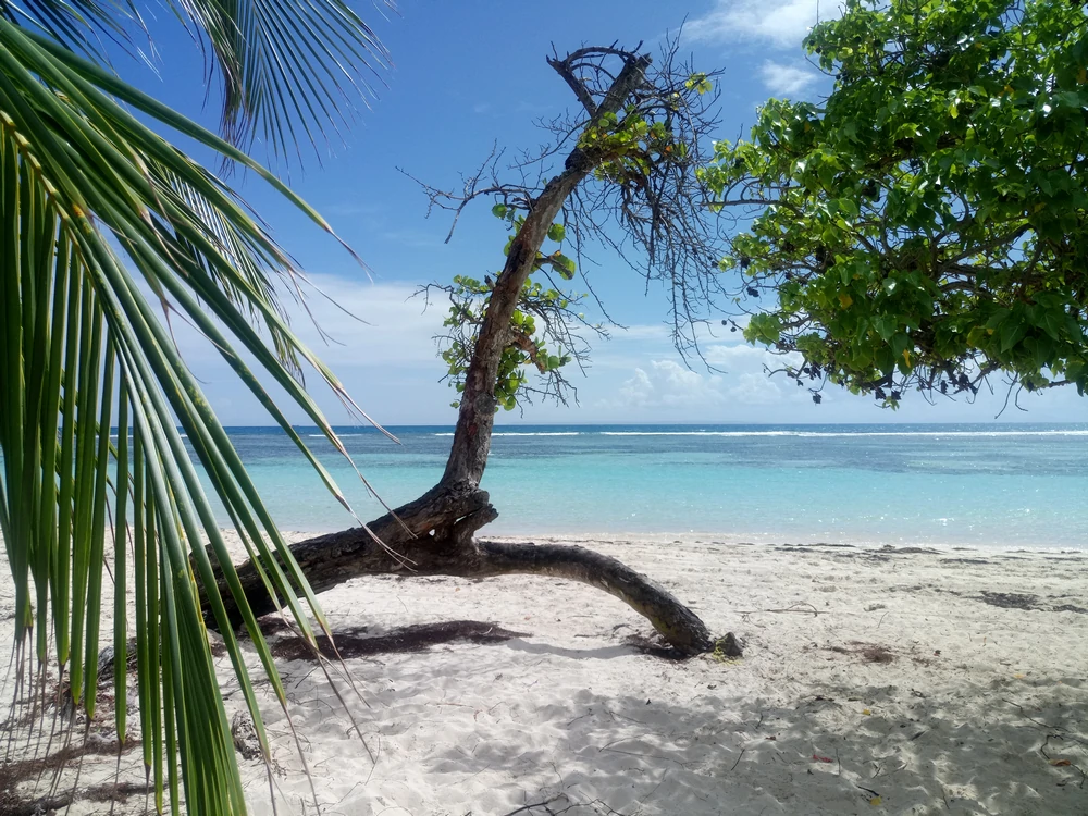 Gîtes de l'Anse Saint-François Guadeloupe